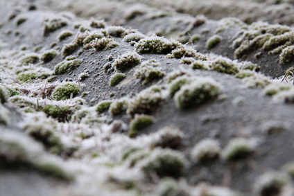 asbest-entfernen58edfceeaaa69