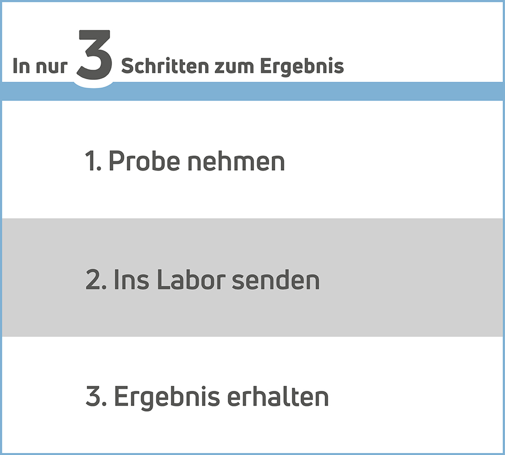 asbest-test-so-geht-es