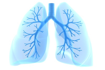 asbest-lungenkrebs